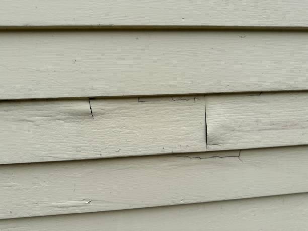 Best Aluminum Siding Installation  in Grayling, MI